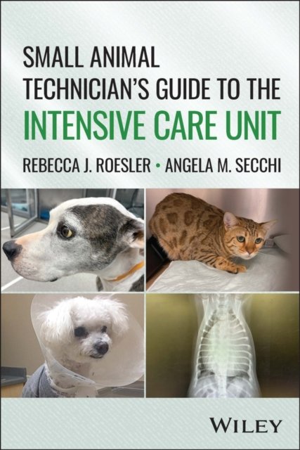 A Veterinary Technician's Guide to the Intensive Care Unit