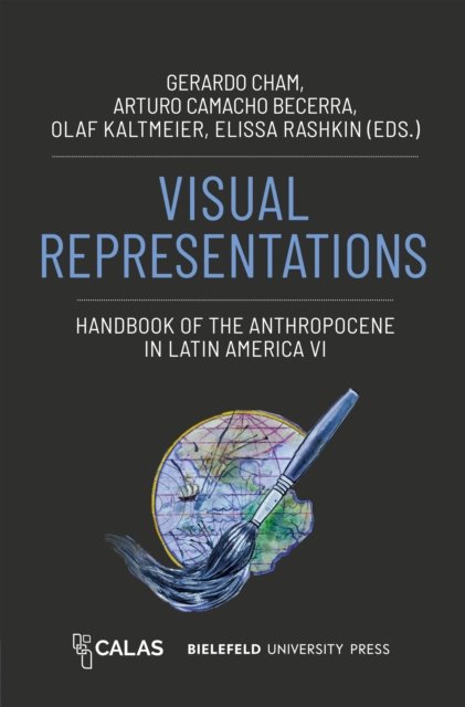 Visual Representations – Handbook of the Anthropocene in Latin America VI