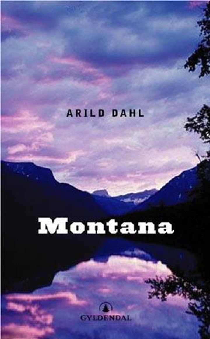 Montana - roman