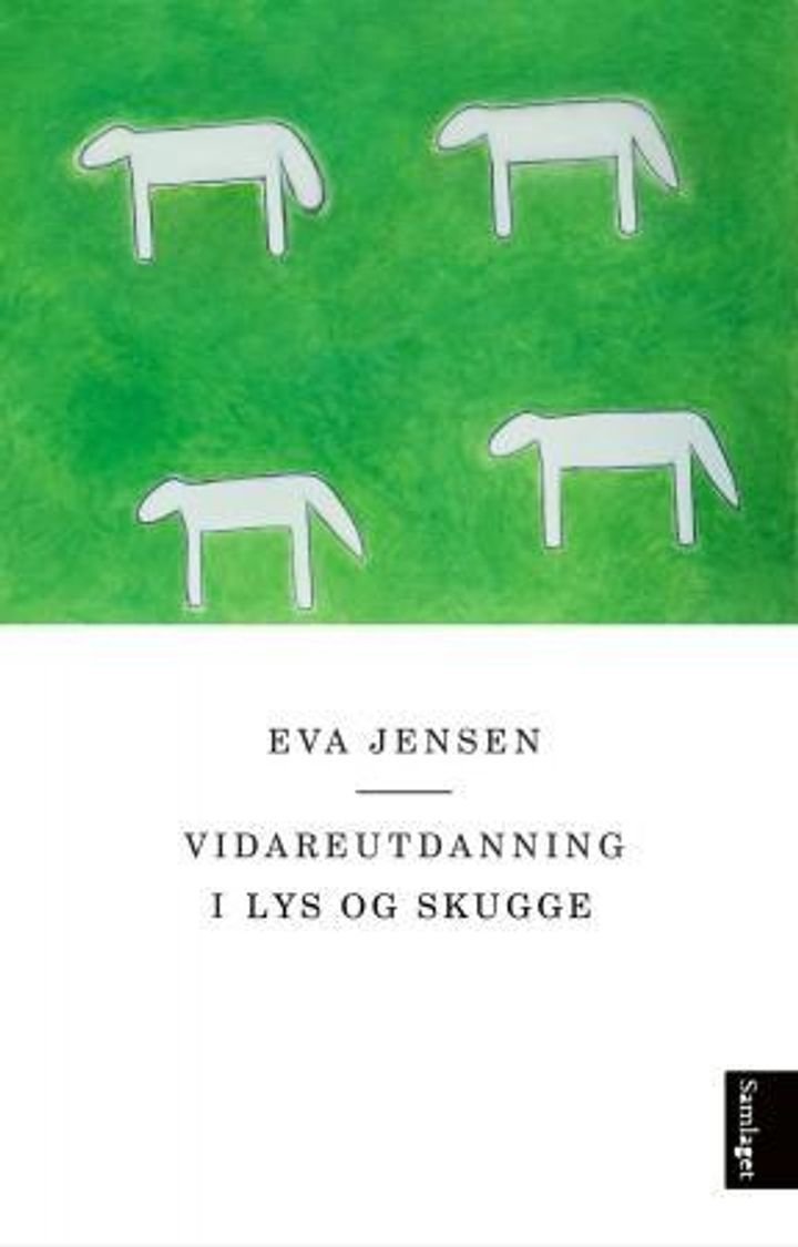 Vidareutdanning i lys og skugge - dikt og prosa