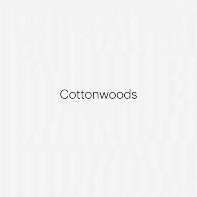 Robert Adams: Cottonwoods