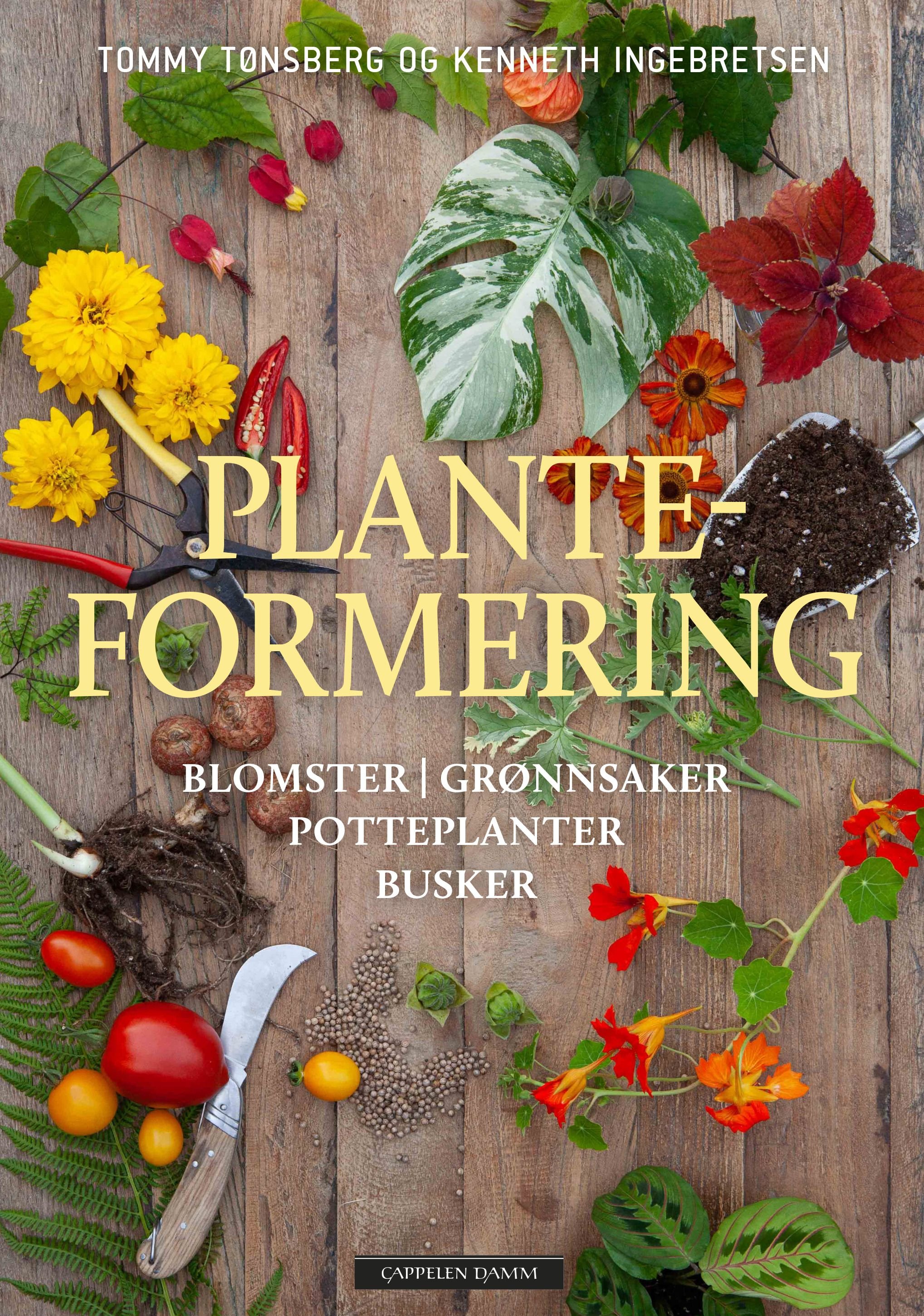 Planteformering av Kenneth Ingebretsen, Tommy Tønsberg