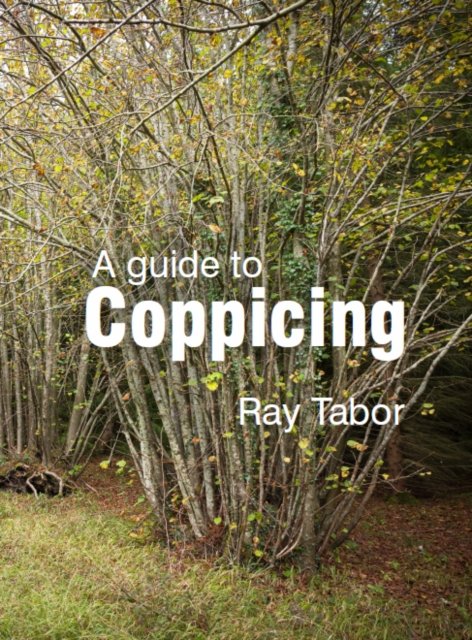 A Guide to Coppicing