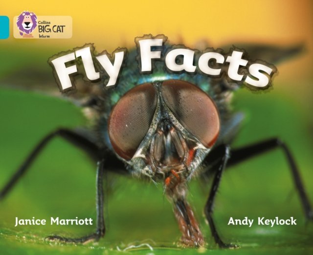 BIG CAT - FLY FACTS