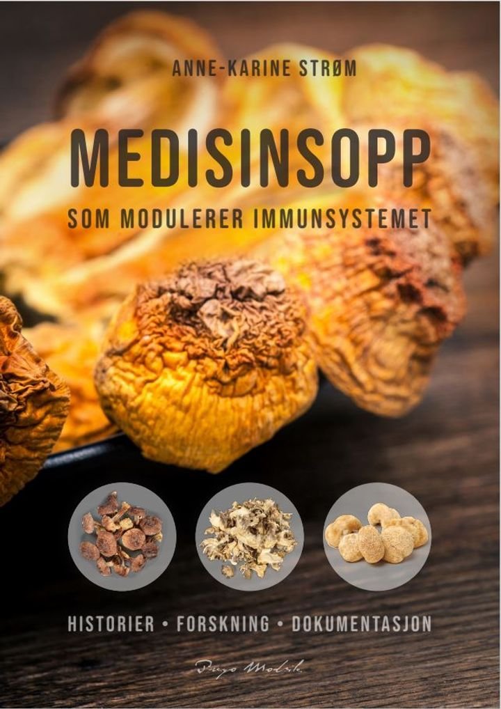 Medisinsopp - som modulerer immunssystemet : historier, forskning, dokumentasjon