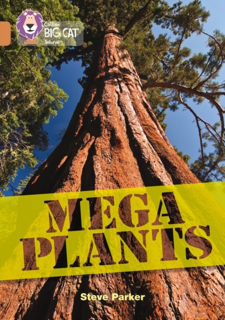 BIG CAT - MEGA PLANS