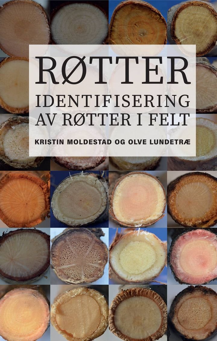 Røtter | Kristin Moldestad | ARK.no