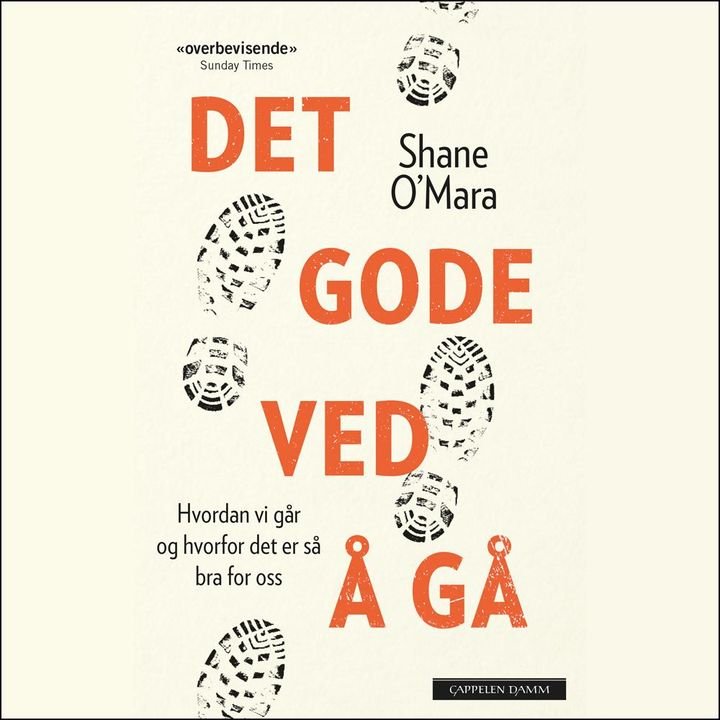 Det gode ved å gå - hvordan vi går og hvorfor det er så bra for oss