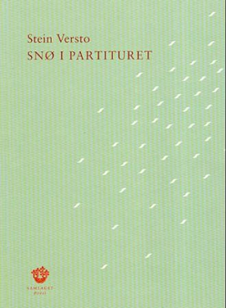 Snø i partituret - dikt