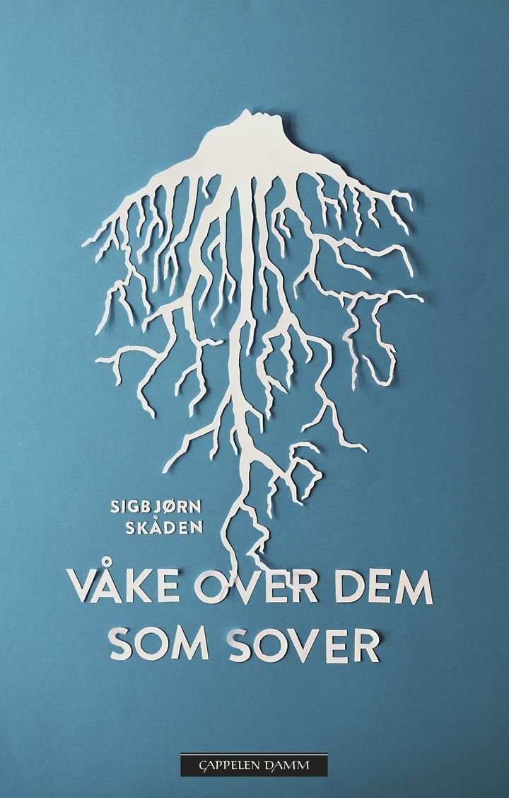 Våke over dem som sover - roman
