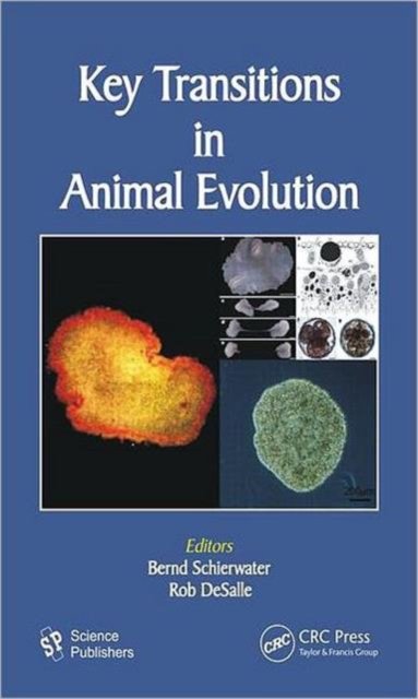 Key Transitions in Animal Evolution