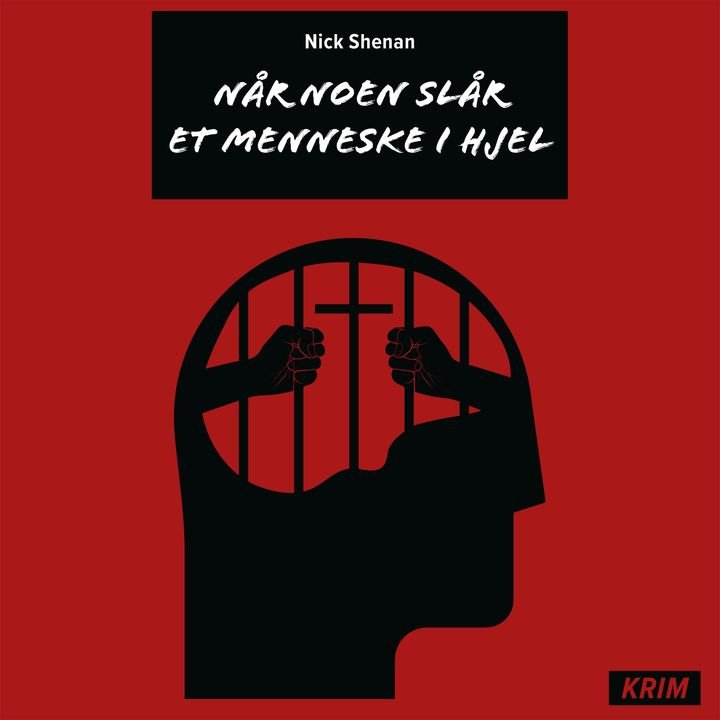 Når noen slår et menneske i hjel
