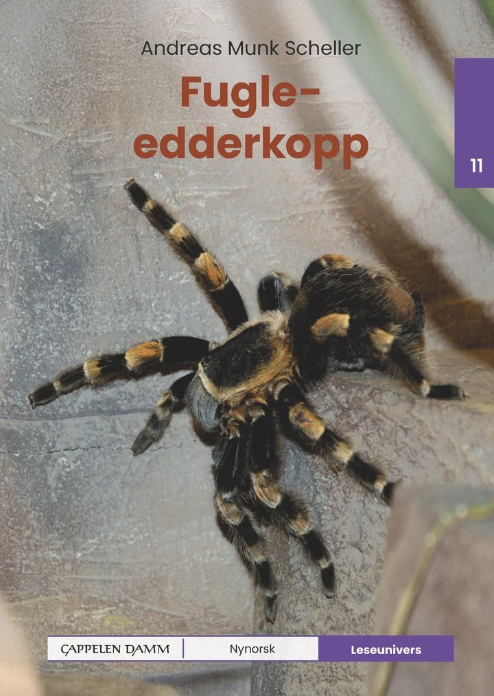 Fugleedderkopp