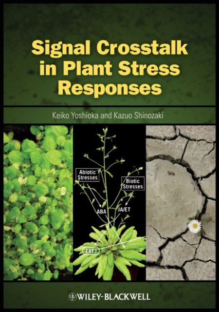Signal Crosstalk in Plant Stress Responses