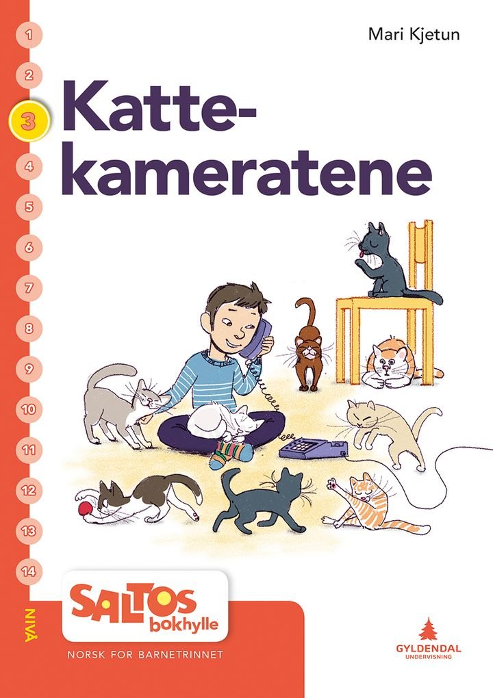 Kattekameratane - nivå 3-4 : norsk for barnetrinnet