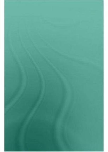 Persian Literature - A Biobibliographical Survey