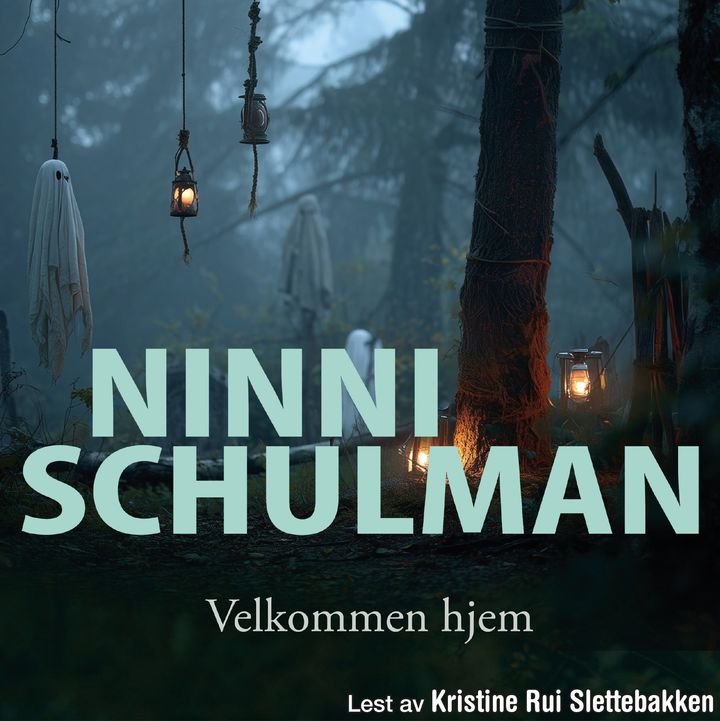 Velkommen hjem