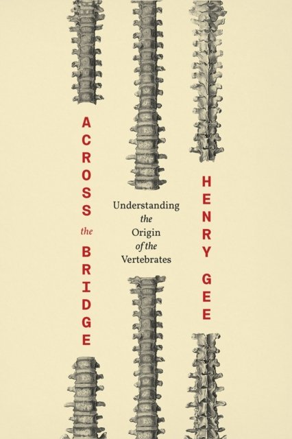 Across the Bridge – Understanding the Origin of the Vertebrates