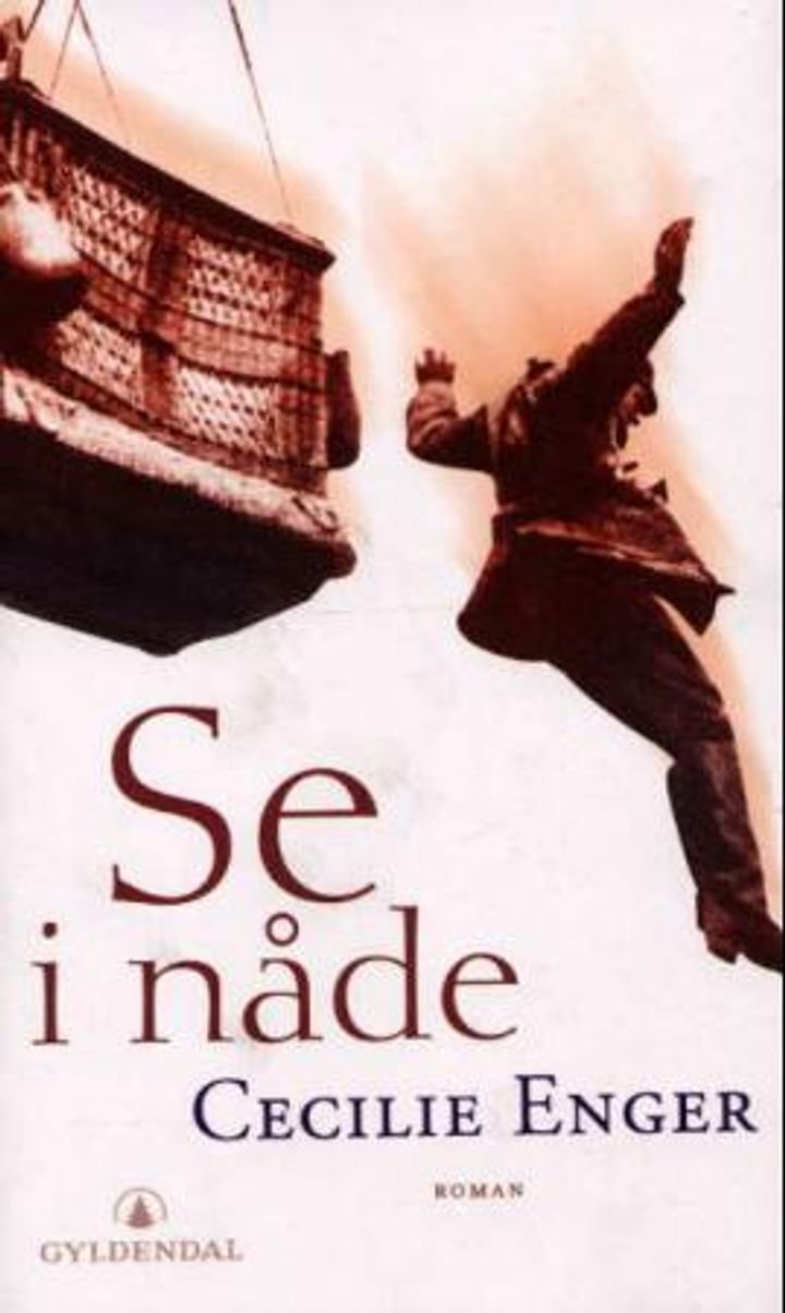 Se i nåde - roman