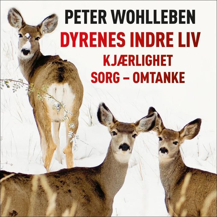 Dyrenes indre liv - kjærlighet - sorg - omtanke