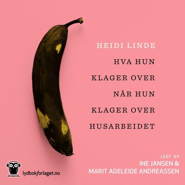 Hva hun klager over når hun klager over husarbeidet - roman
