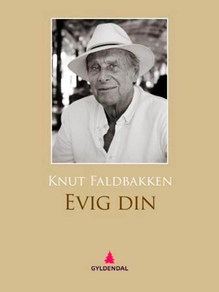 Evig din - roman