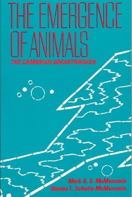 The Emergence of Animals