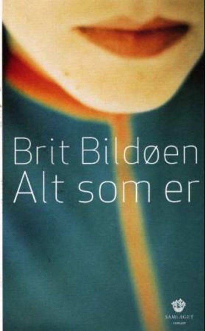 Alt som er - roman