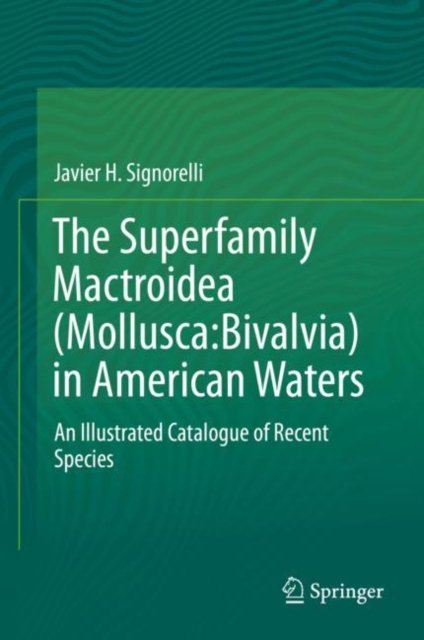 The Superfamily Mactroidea (Mollusca