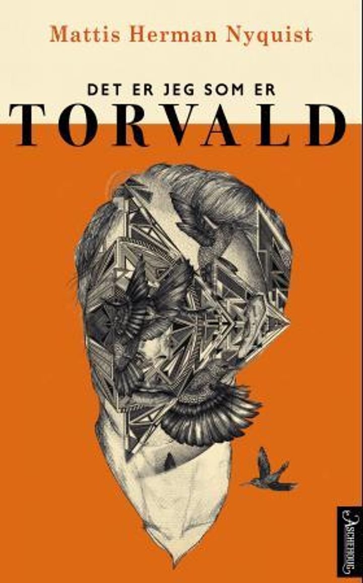 Det er jeg som er Torvald - roman