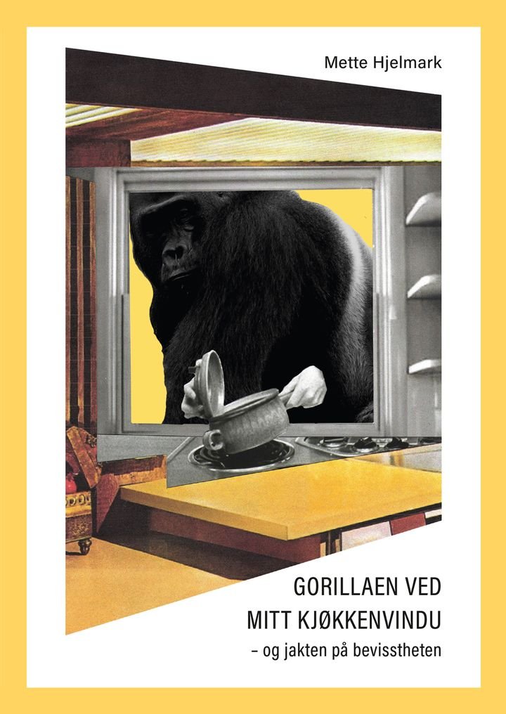 Gorillaen ved mitt kjøkkenvindu | Mette Hjelmark | ARK.no