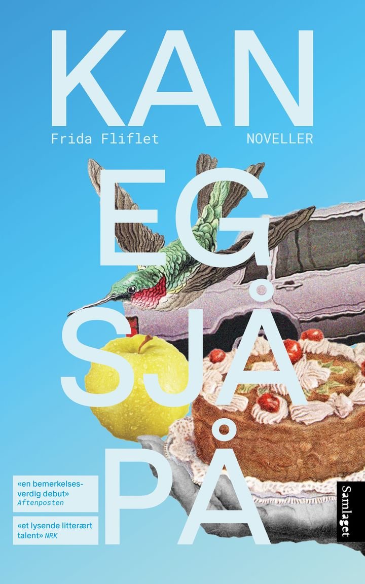 Kan eg sjå på - noveller