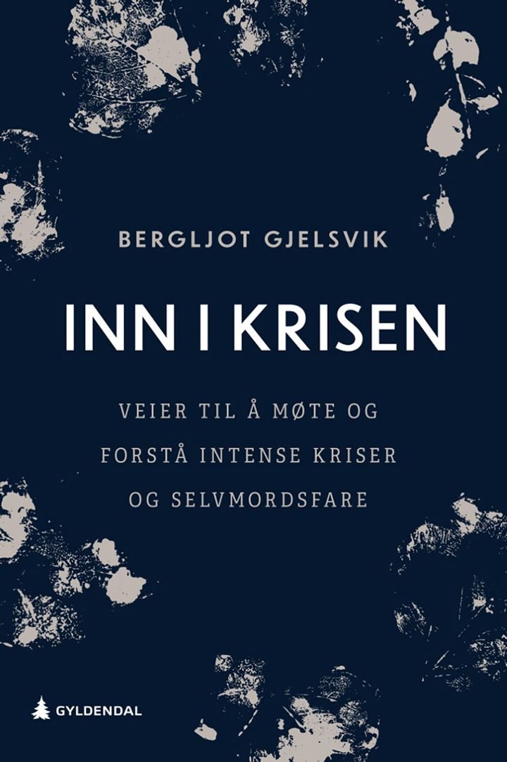 Inn i krisen - veier til å møte og forstå intense kriser og selvmordsfare