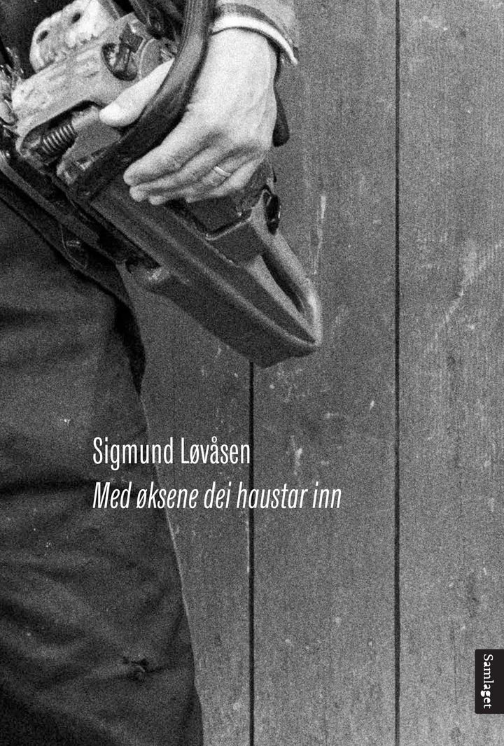 Med øksene dei haustar inn - dikt