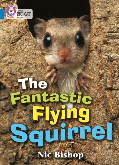 BIG CAT - FANTAST FLY SQ
