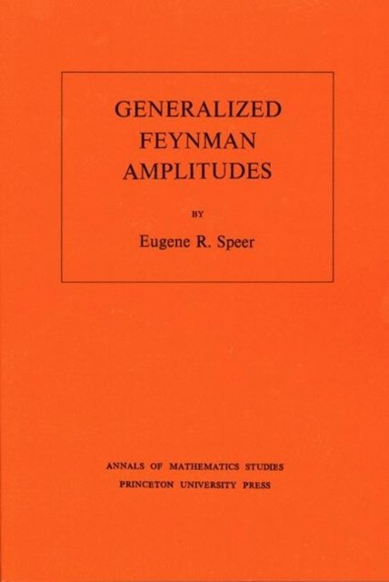 Generalized Feynman Amplitudes