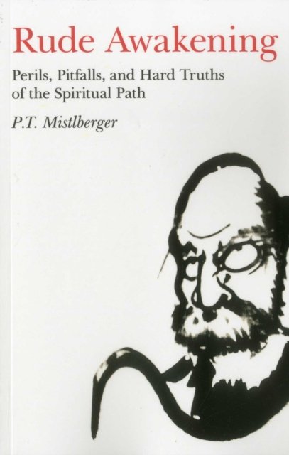 Rude Awakening – Perils, Pitfalls, and Hard Truths of the Spiritual Path