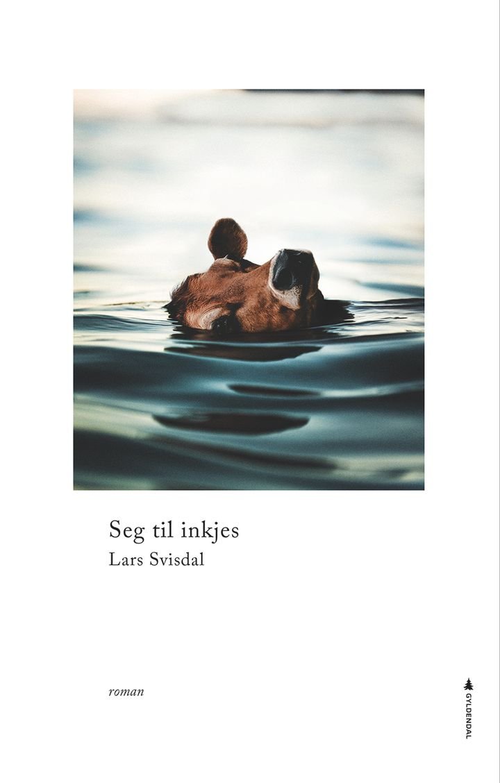 Seg til inkjes - roman