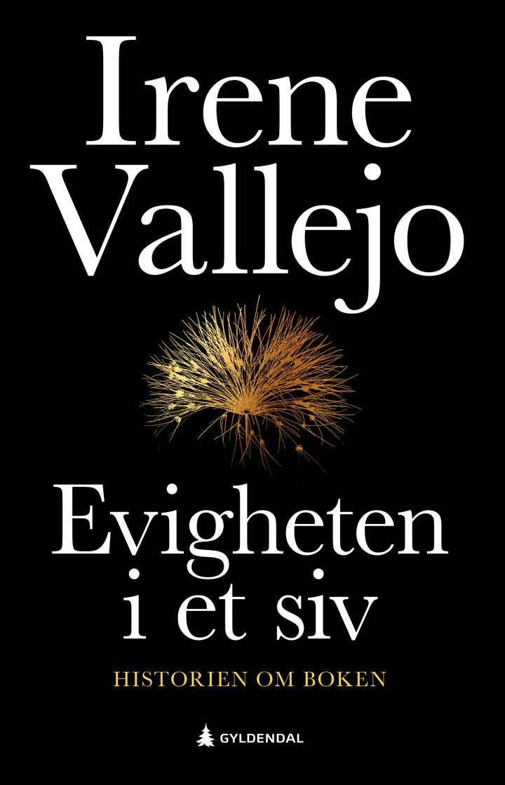 Evigheten i et siv - historien om boken