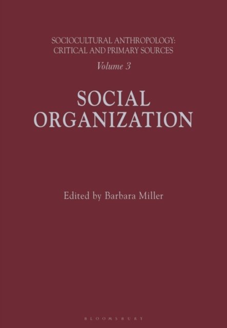 Sociocultural Anthropology: Vol 3