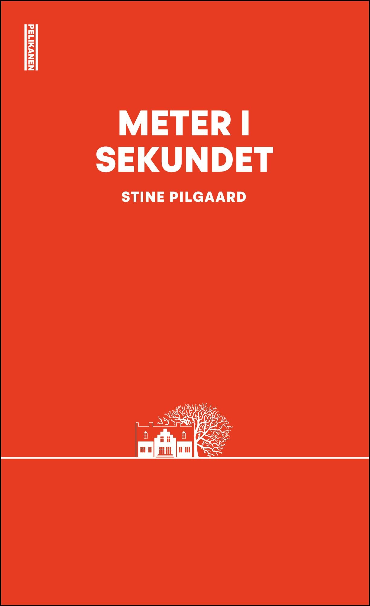 Meter i sekundet - roman