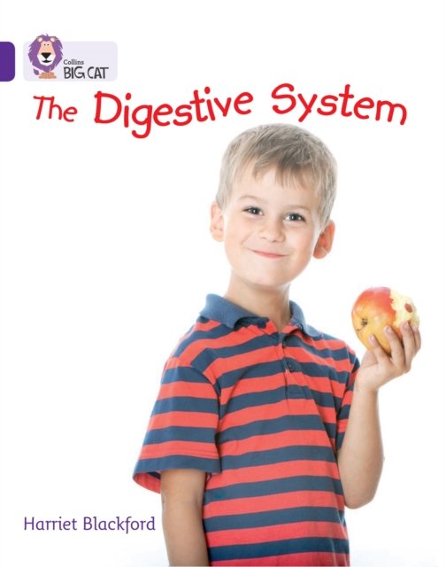 BIG CAT - DIGESTIVE SYSTEM