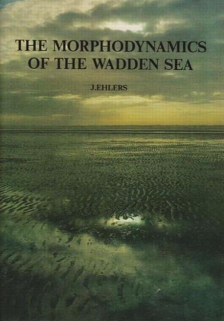 The Morphodynamics of the Wadden Sea