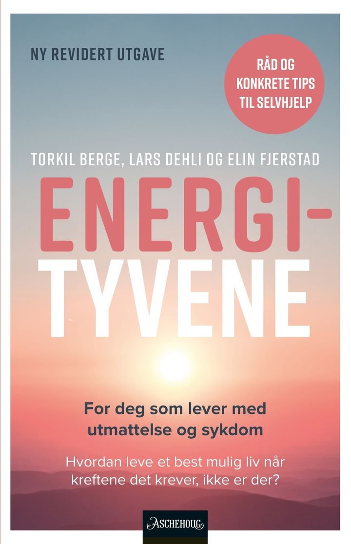 Energityvene - utmattelse i sykdom og hverdag