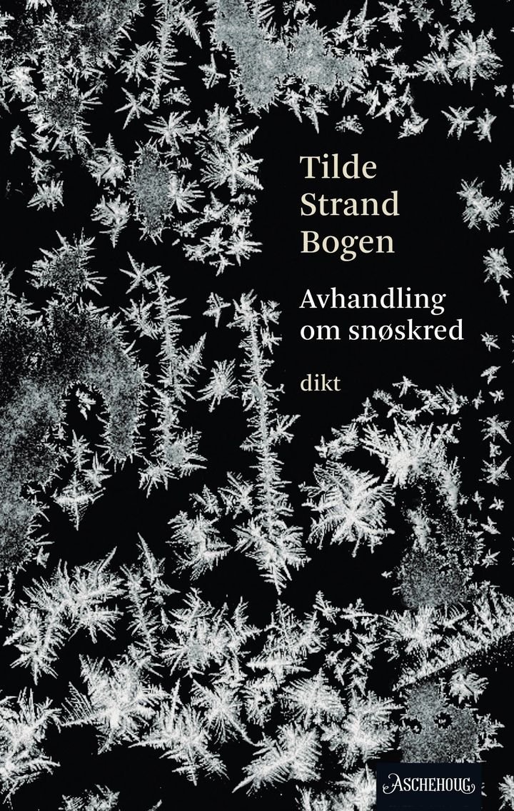 Avhandling om snøskred - lyrikk