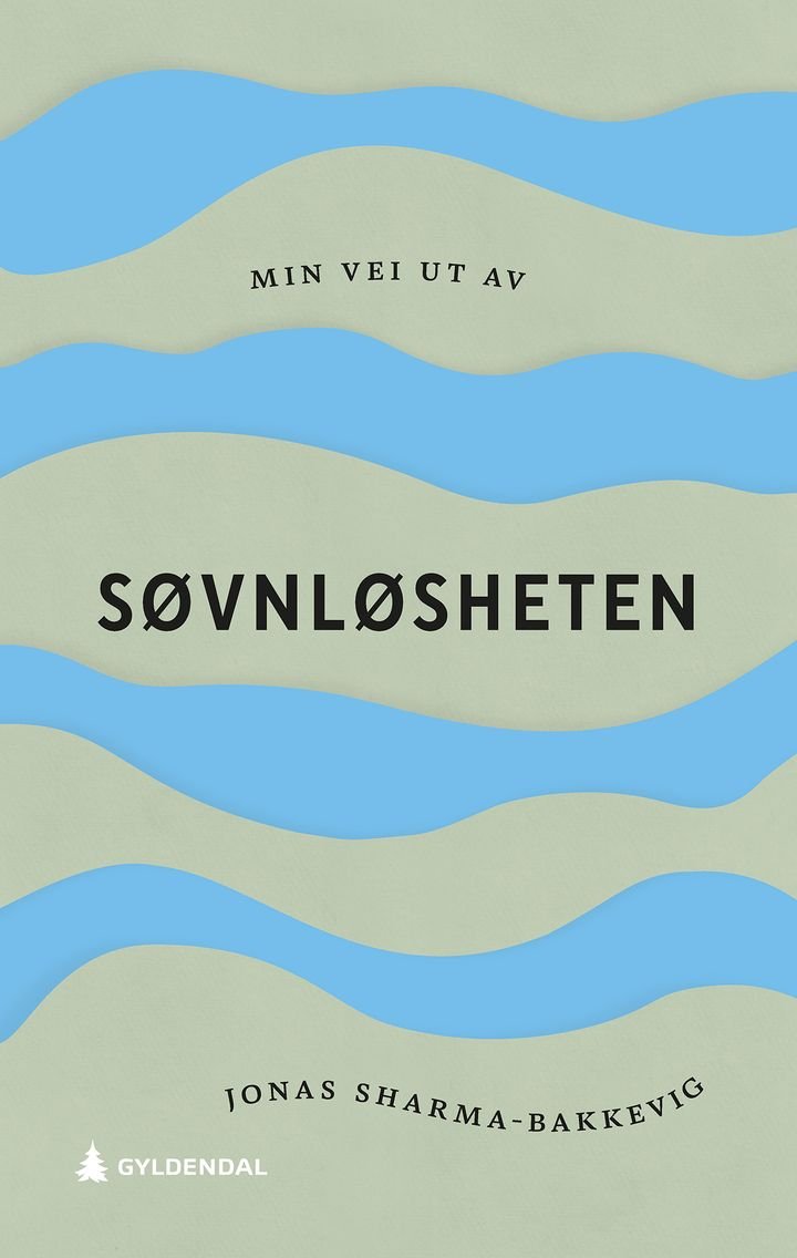 Min vei ut av søvnløsheten