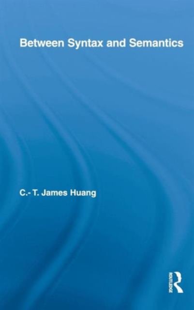 Between Syntax and Semantics