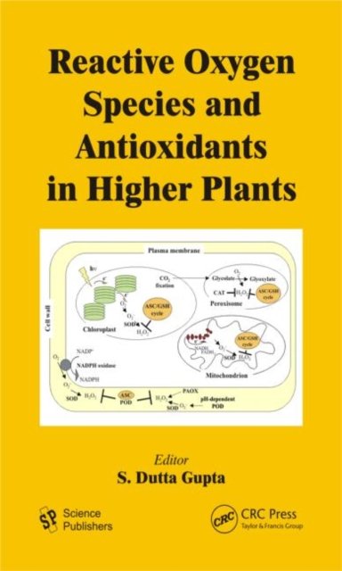 Reactive Oxygen Species and Antioxidants in Higher Plants