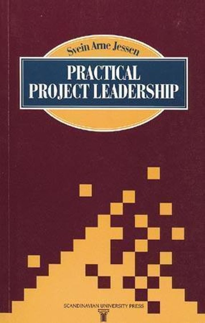 Practical project leadership
