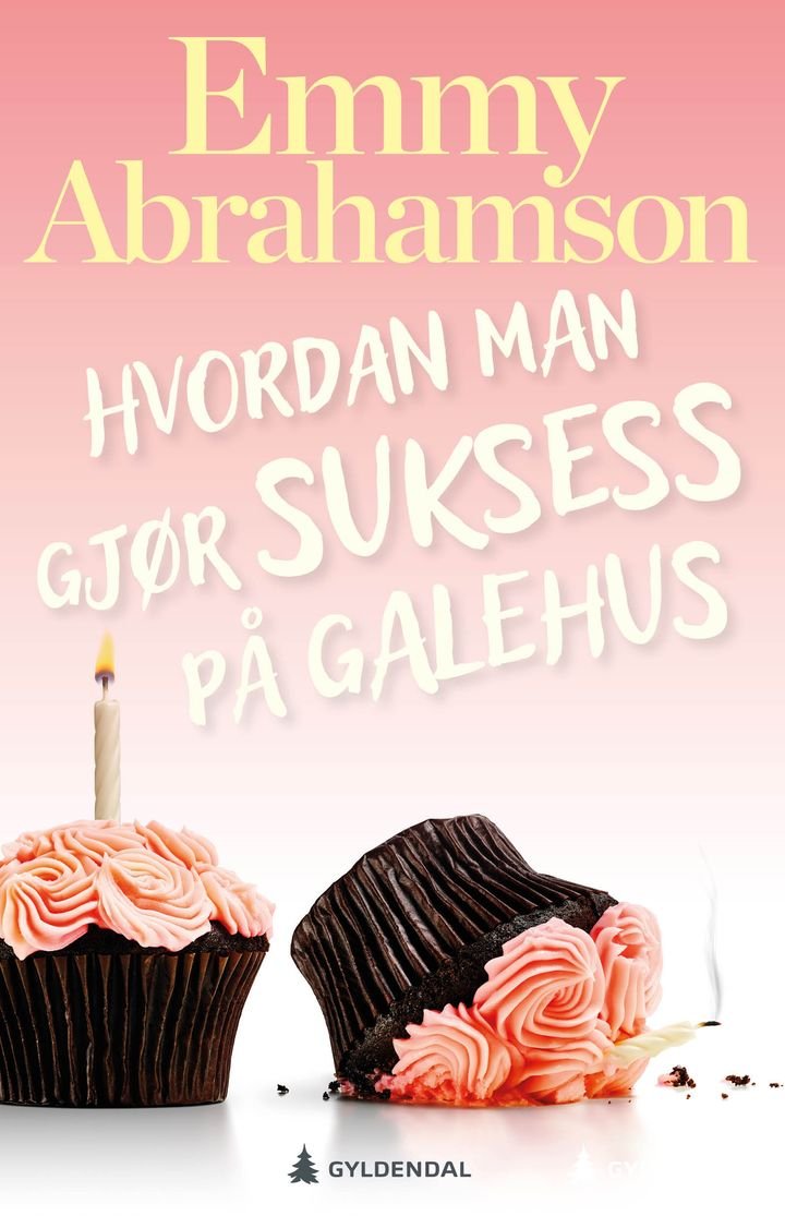 Hvordan man gjør suksess på galehus - roman